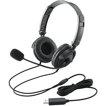 Both-ear Headset